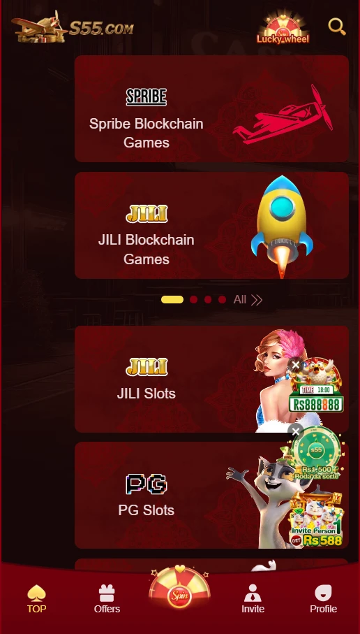 S55 App Interface
