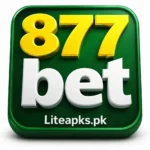 877 bet