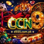 CCN9 Game