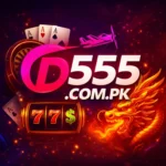 D555 Game