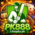 PK888